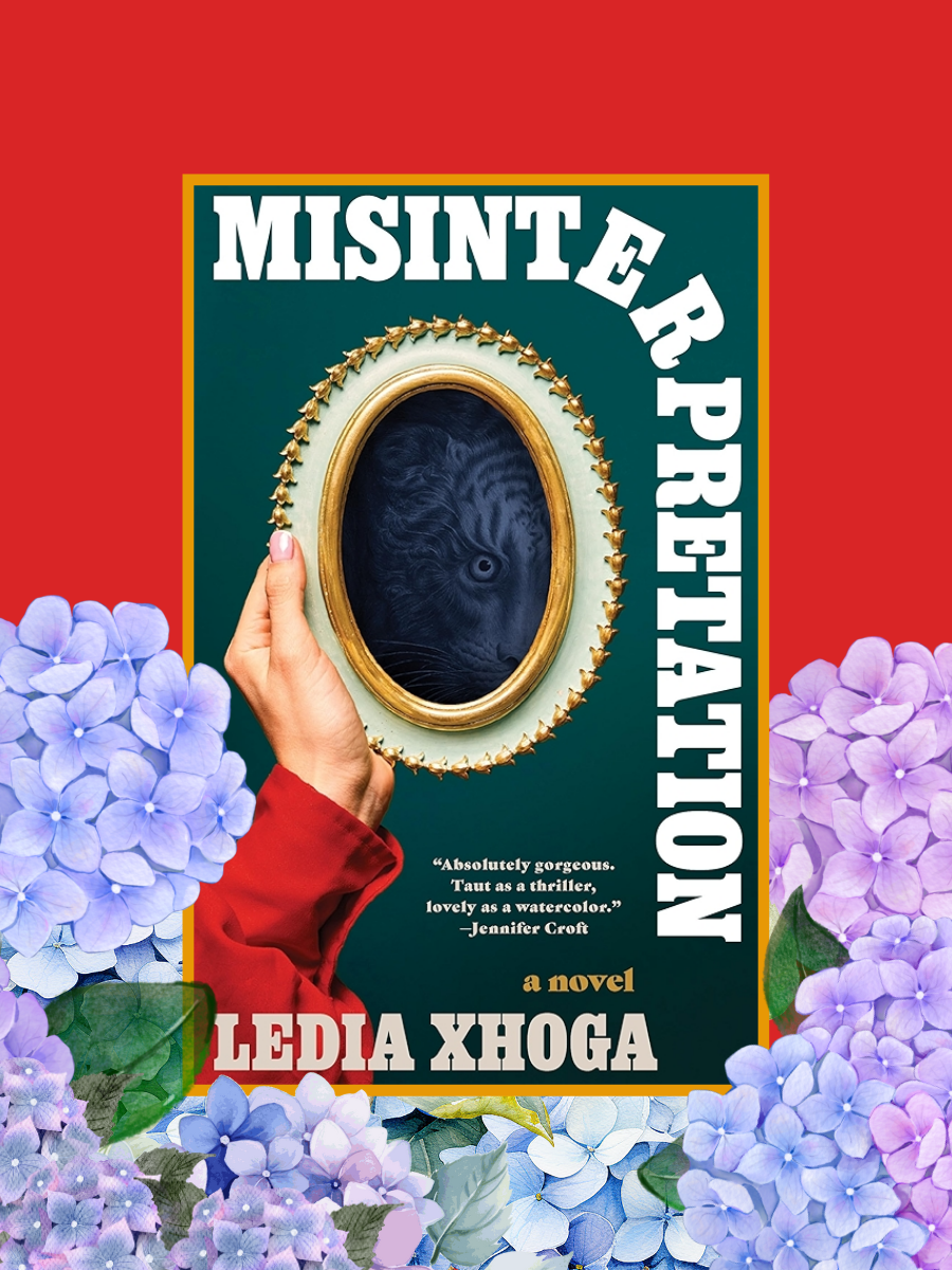 Review of Misinterpretation: A Complex Debut&nbsp;Novel